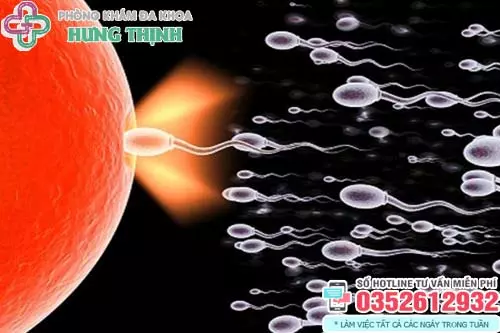 Dấu hiệu trứng gặp tinh trùng thành công