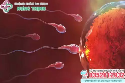 Dấu hiệu tinh trùng gặp được trứng