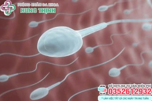Xuất tinh sớm có ảnh hưởng đến chất lượng tinh trùng không?