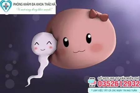 Tinh trùng gặp trứng bao lâu thì thụ thai