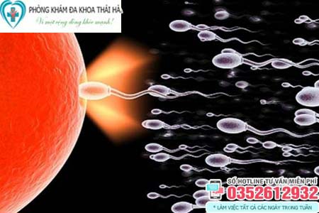 Dấu hiệu trứng gặp tinh trùng thành công