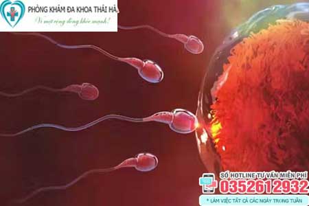 Dấu hiệu tinh trùng gặp được trứng