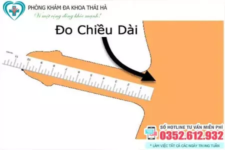 Cách đo chiều dài dương vật
