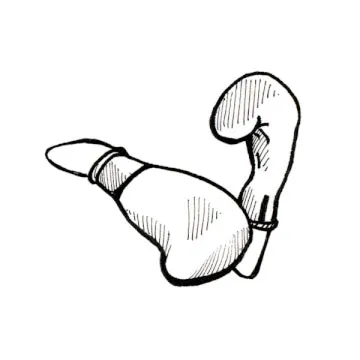 A pair of gloves