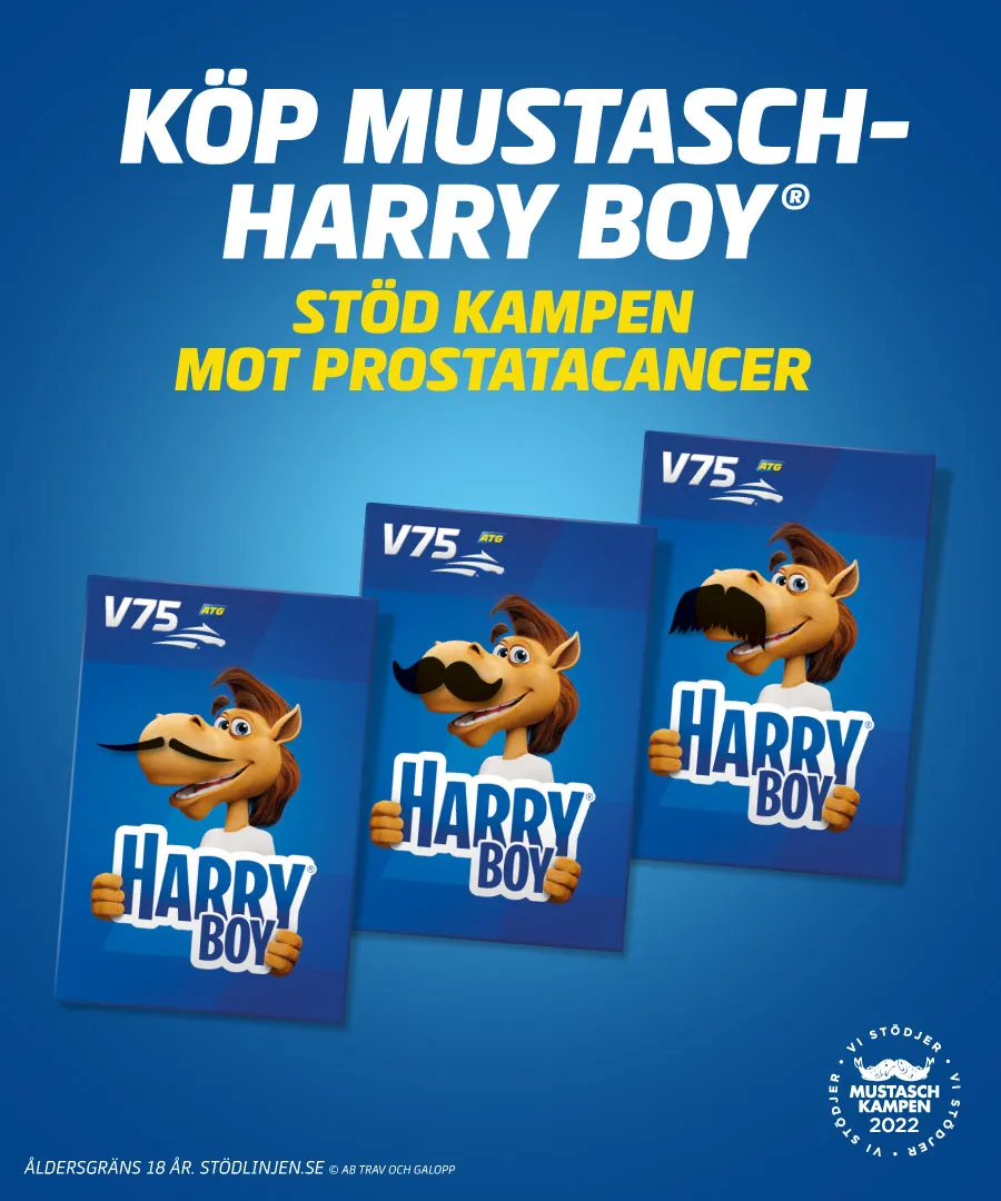 Bilder på en mustaschprydd Harry Boy.