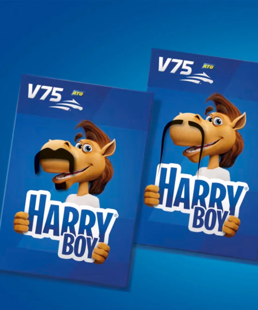 Mustasch-Harry Boy