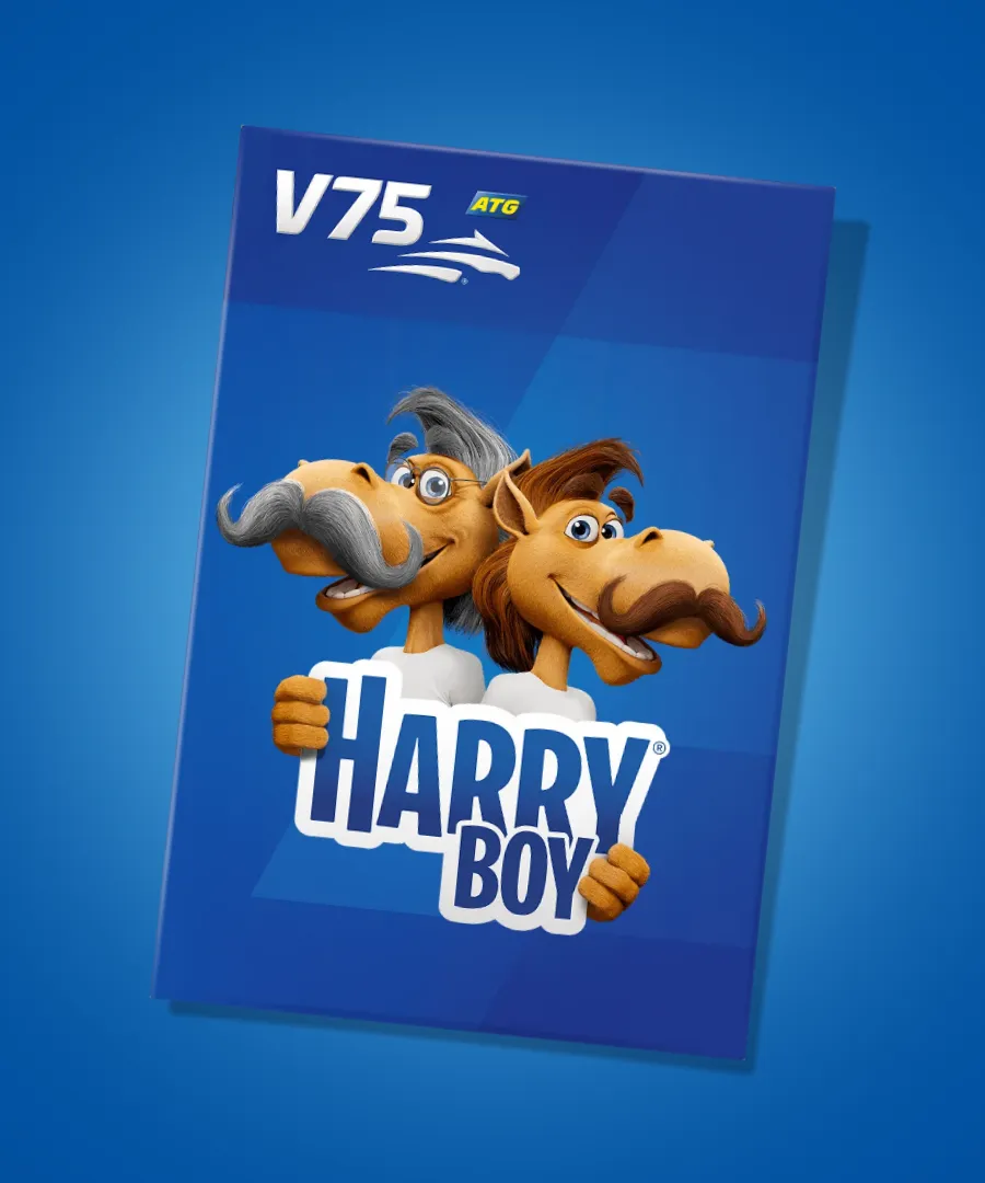 Bild på Mustasch-Harry Boy från ATG