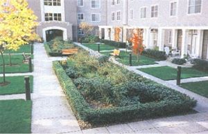 Bioretention landscaping