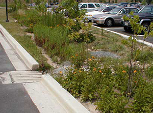 Bioretention Parking Lot