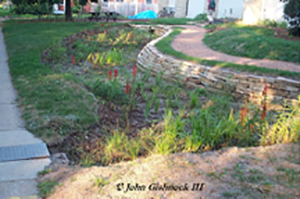 Bioretention Rain Garden