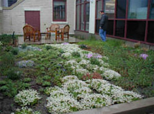 Green Roof example