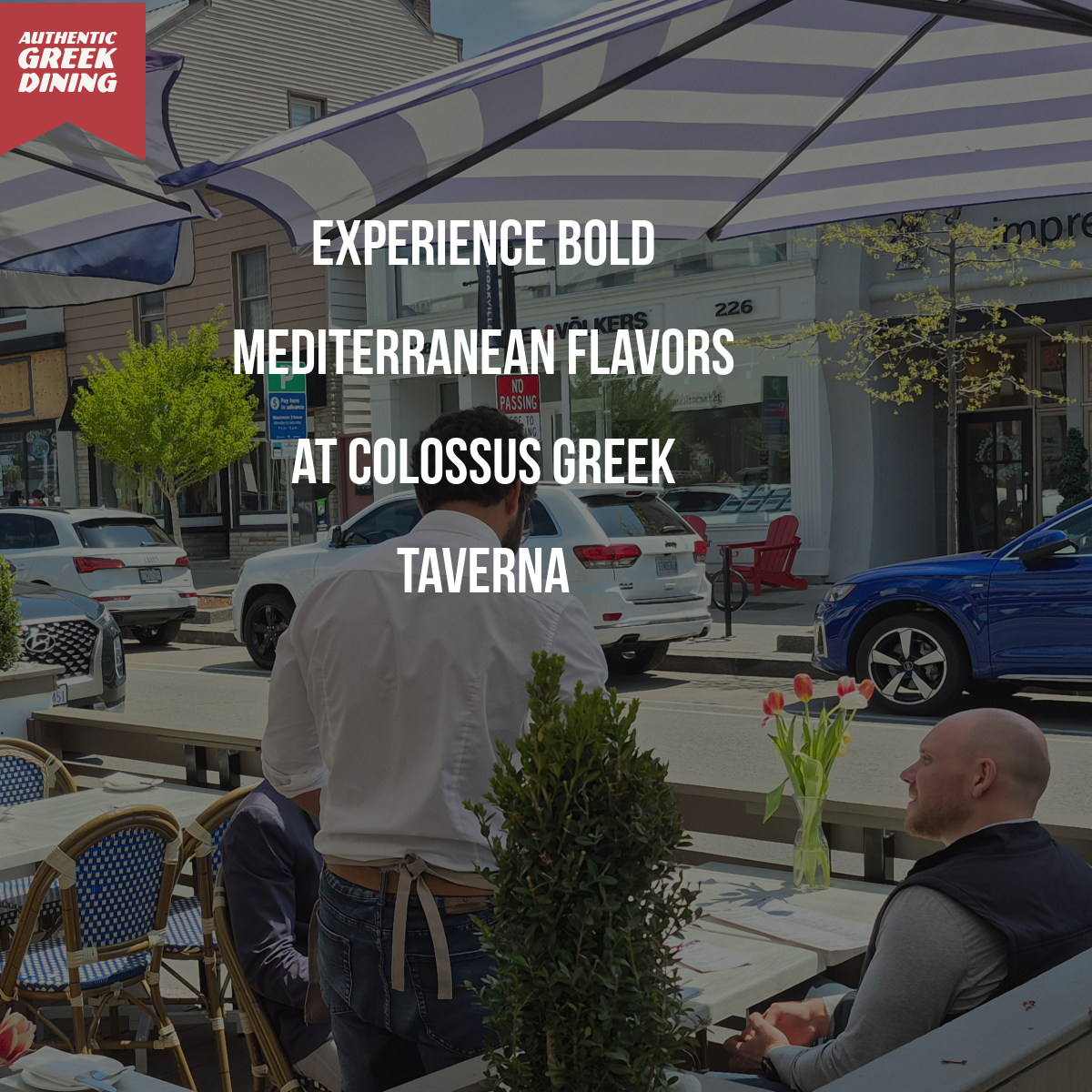 best greek patio dining by colossus greek taverna 