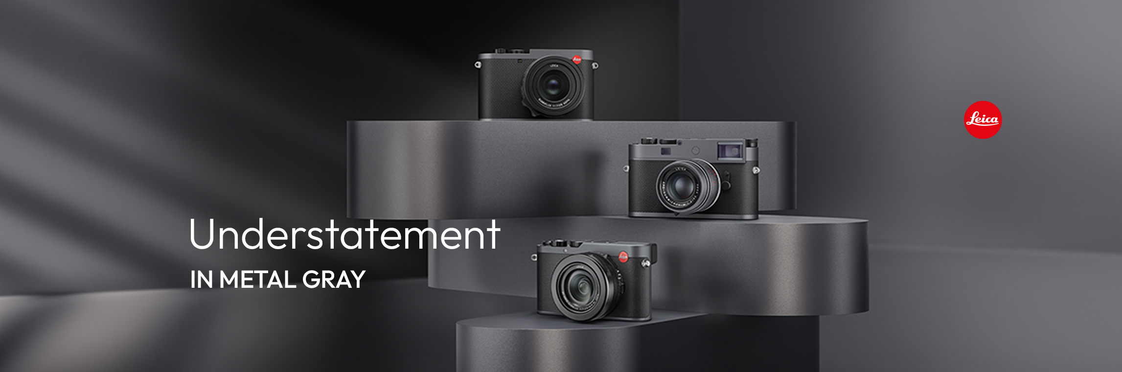 Leica Metal Gray Camera Variations and Accessories