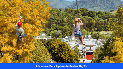 Land for sale in Cocke County, TN(SOLD)