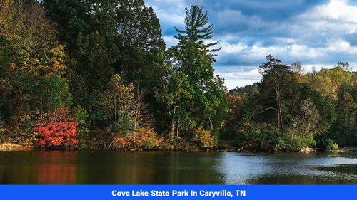 Land for sale in Campbell County, TN(SOLD)