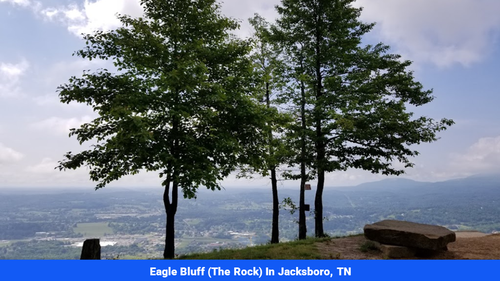 Land for sale in Campbell County, TN(SOLD)