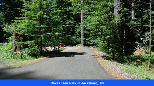 Land for sale in Campbell County, TN(SOLD)