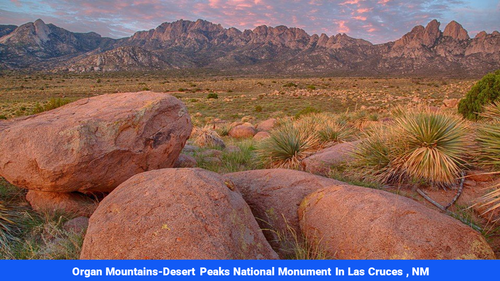 Land for sale in Luna County, NM(SOLD)