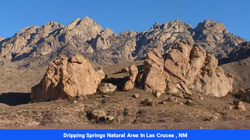 Land for sale in Luna County, NM(SOLD)