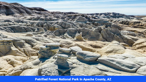 Land for sale in Apache County, AZ (SOLD)