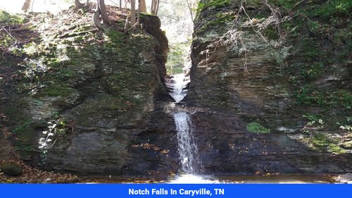 Land for sale in Campbell County, TN(SOLD)