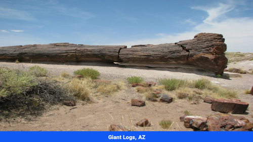 Land for sale in Apache County, CO (SOLD)