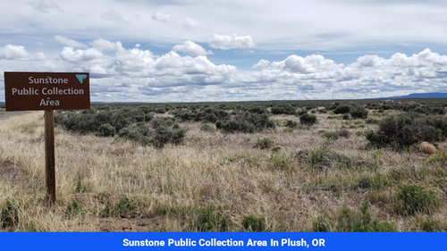 Land for sale in Lake County, OR(SOLD)