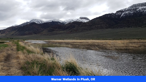 Land for sale in Lake County, OR(SOLD)