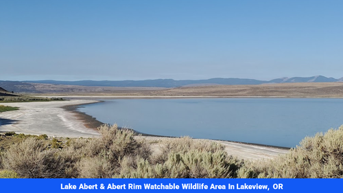 Land for sale in Lake County, OR(SOLD)
