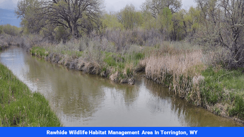 Land for sale in Gosehn County, WY(SOLD)