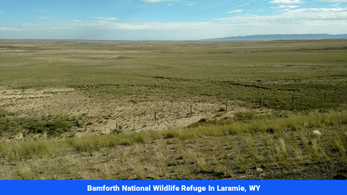 Land for sale in Albany County, WY (SOLD)