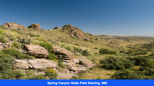 Land for sale in Luna County, NM(SOLD)