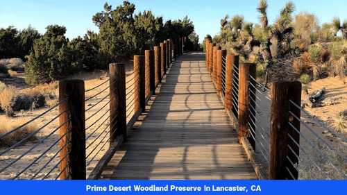 Land for sale in San Bernardino County, CA(SOLD)