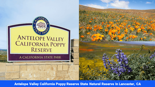 Land for sale in San Bernardino County, CA(SOLD)