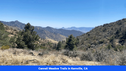 Land for sale in Kern County, CA(SOLD)Land for sale in Kern County, CA(SOLD)