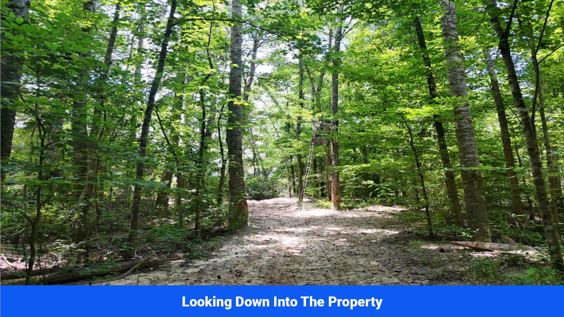 Land For sale in Itawamba County, MS