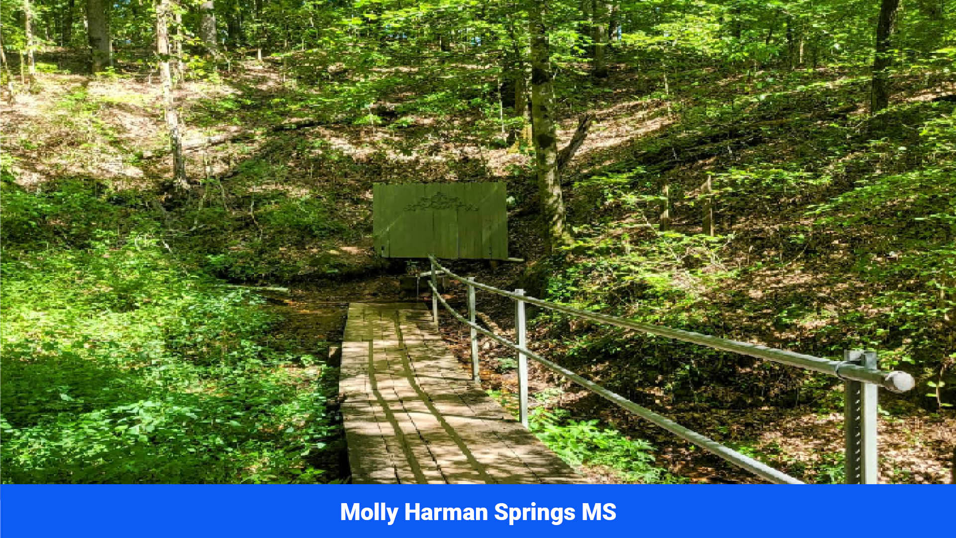 Land For sale in Itawamba County, MS