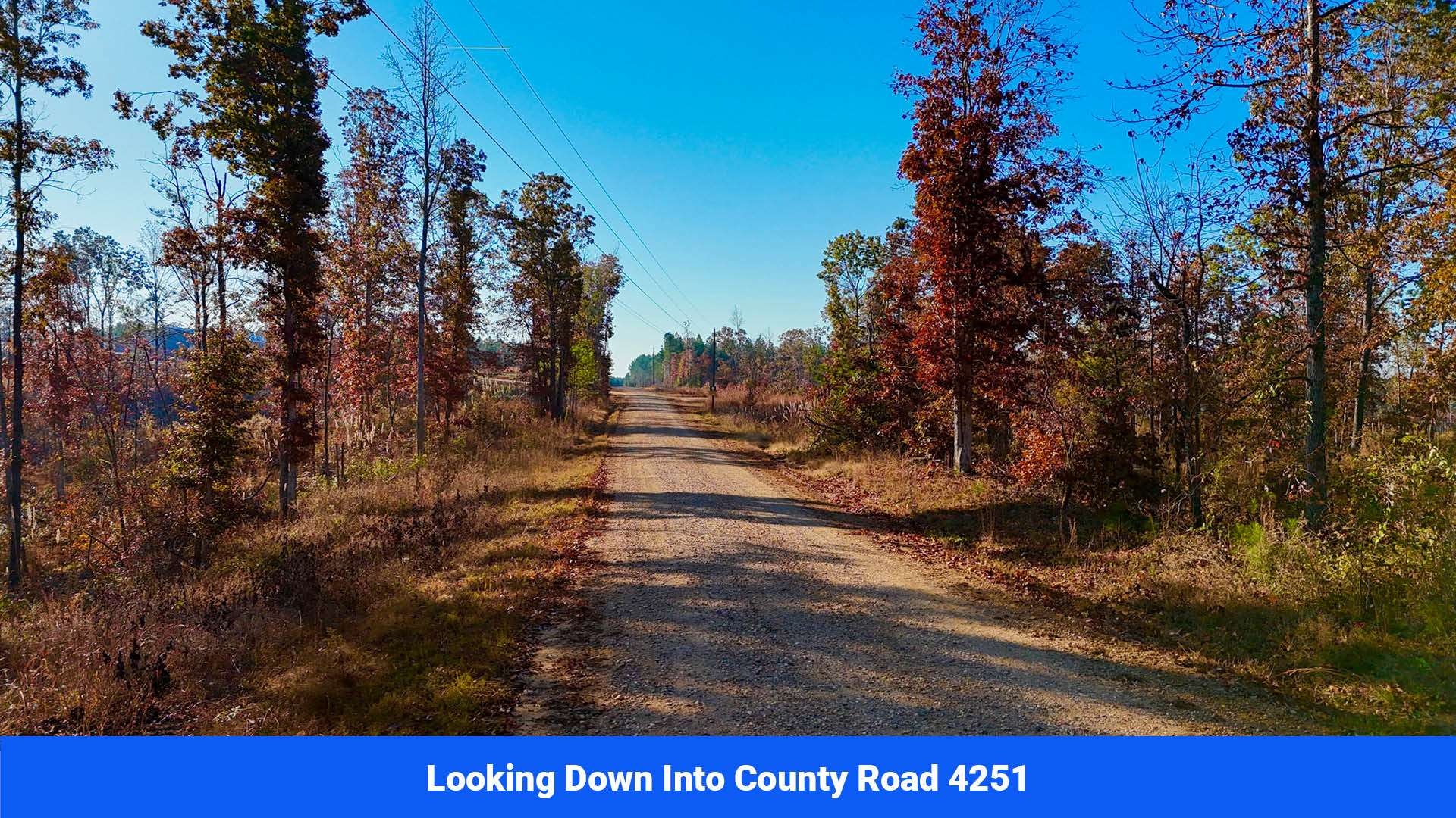 Land for sale in prentiss county, ms