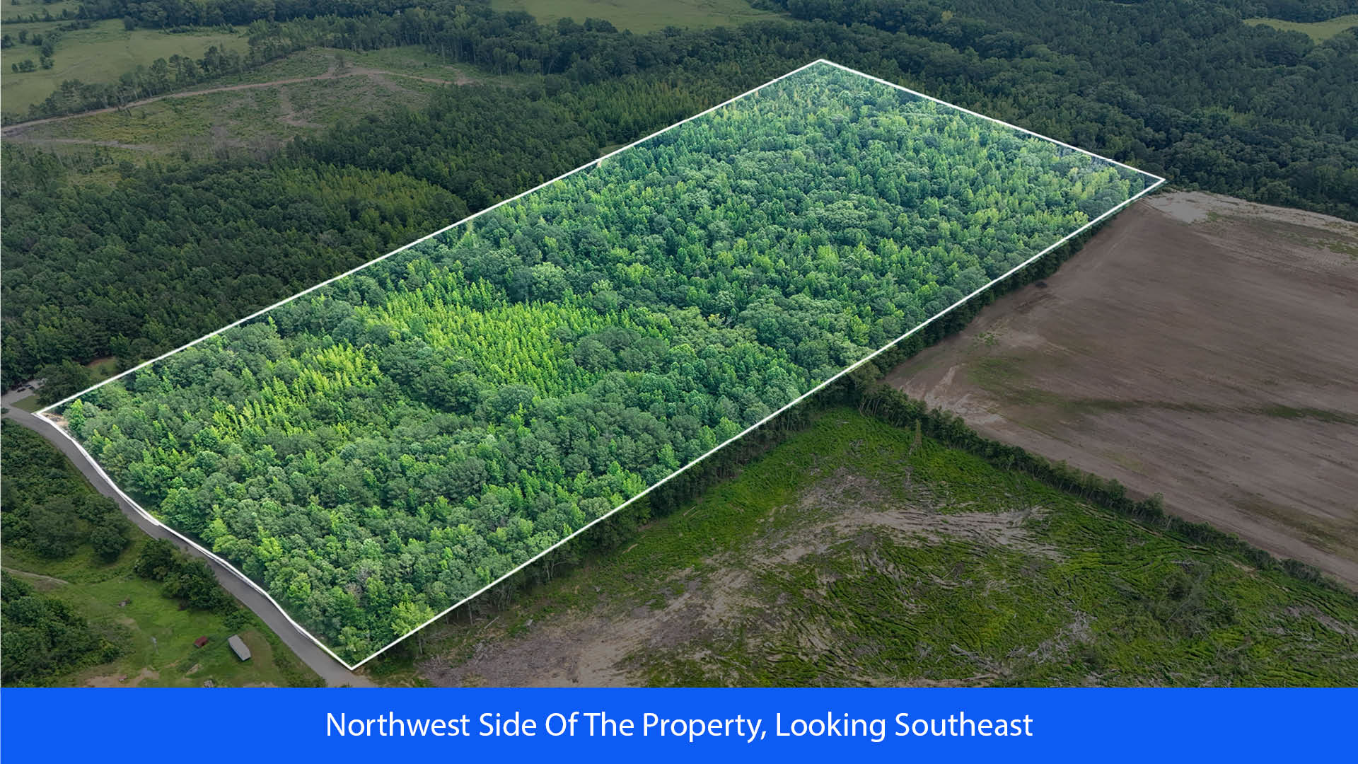 Aerial view of land for sale in Itawamba County, Mississippi with timberland acreage for sale featuring dense green forest, a central access trail, and a paved road border near residential homes—ideal for a private homesite or recreational development.