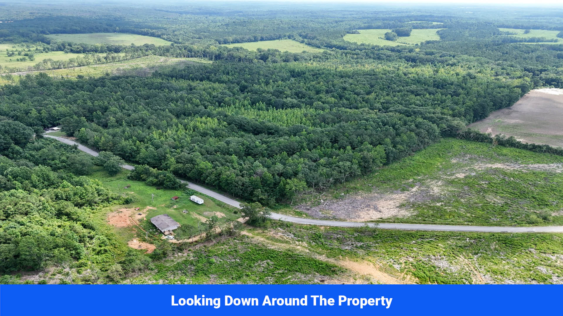 Aerial view of land for sale in Itawamba County, Mississippi with timberland acreage for sale featuring dense green forest, a central access trail, and a paved road border near residential homes—ideal for a private homesite or recreational development.