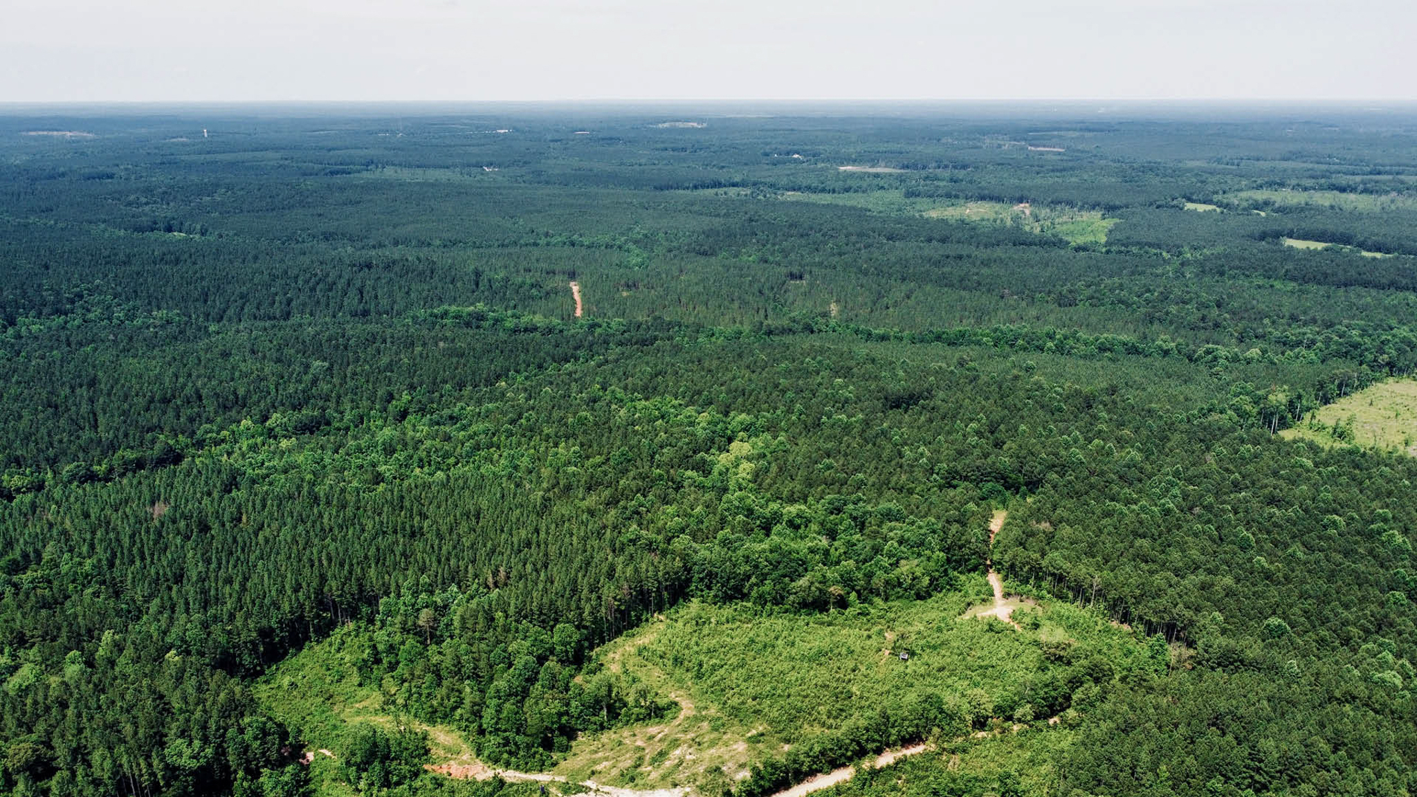 2.17 Acres in Jasper County, MS