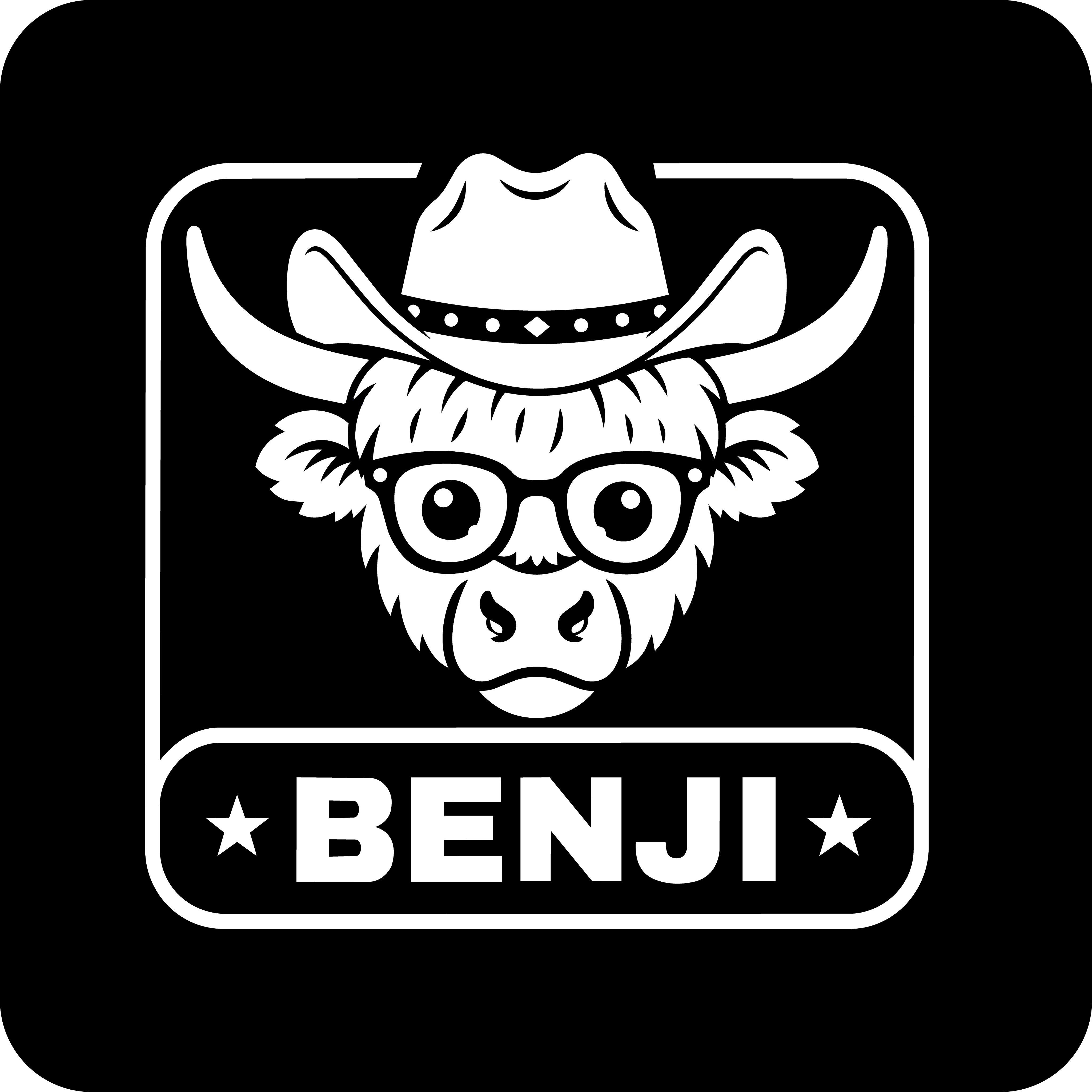 Benji the Highland Cow