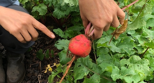 哲學行動主義:想獲得最好的結果,要先從根本開始