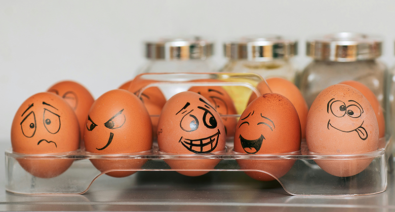 斯多葛派的情緒指南——第一部分：我們能相信自己的感受嗎？