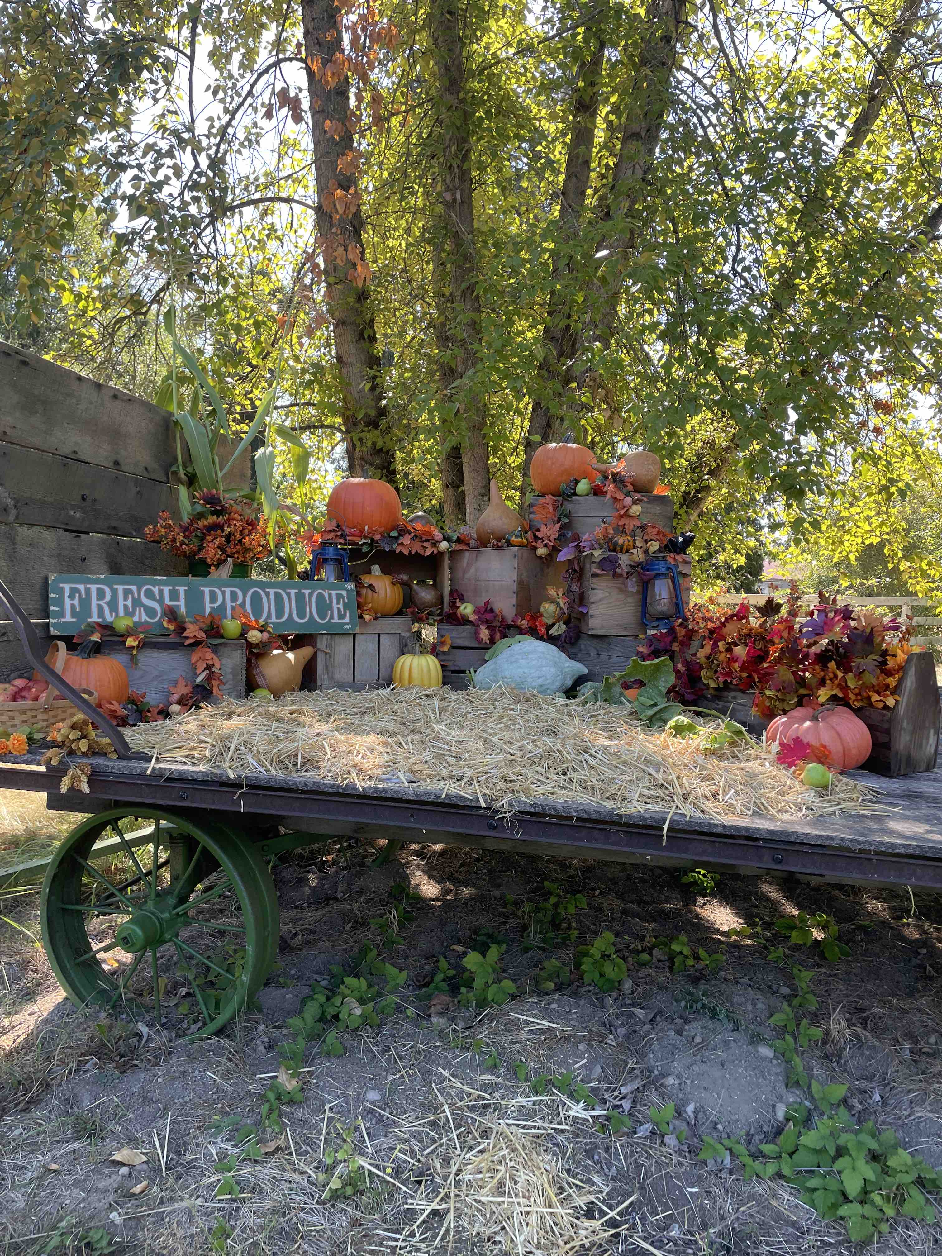 fall hay wagon photo prop
