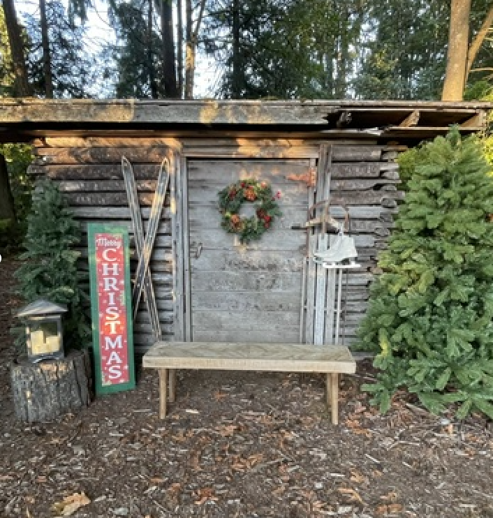 old cabin Christmas photo prop