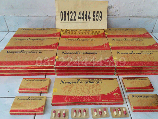 obat nangen, nangen asli, kapsul nangen, nangen zengzhangsu