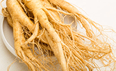 bahan-soloco-ginseng