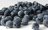 komposisi-soloco-acai-berry