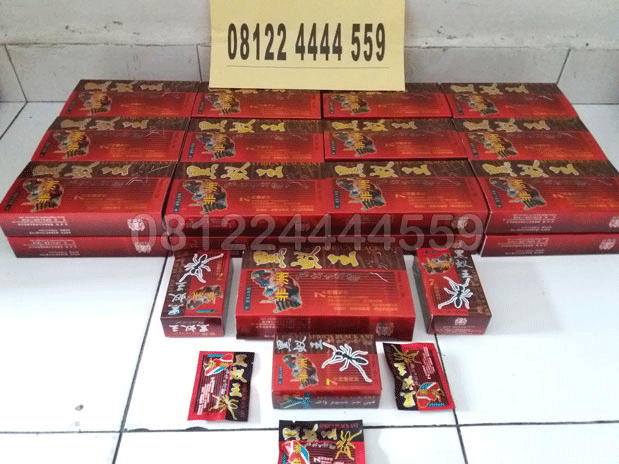 jual obat black ant, semut hitam, africa black ant